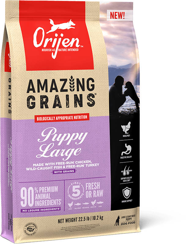 ORIJEN Amazing Grains Puppy Large Recipe Packaging