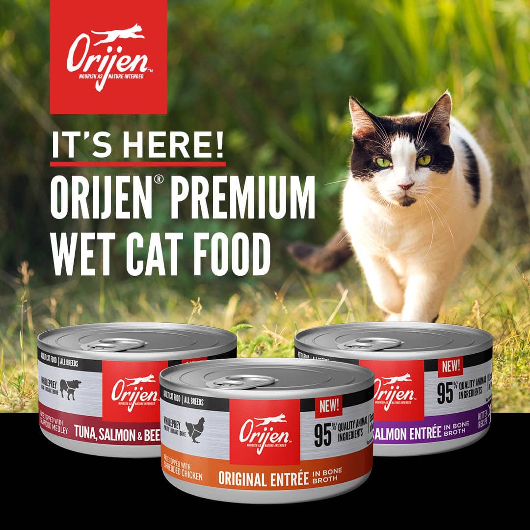 Introducing NEW ORIJEN Wet Cat Food! Orijen